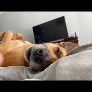 Meet your Posher, Gabrielle